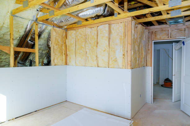 Best Eco-Friendly Insulation in , WA