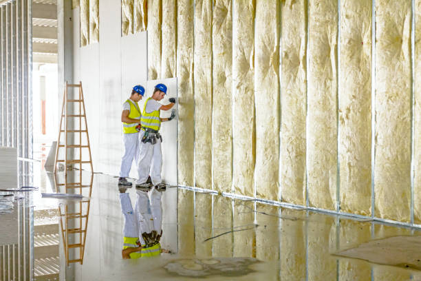 Best Geographic-Specific Insulation Services in , WA